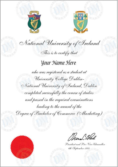 Hochschulabschluss (IRL) University Diploma