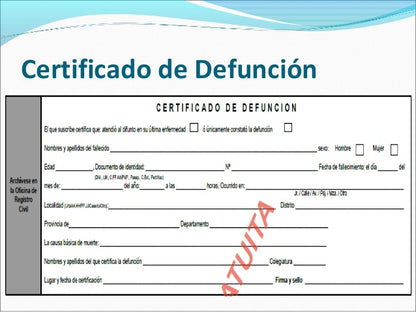 Death Certificate (BOL) Partida de Defunción