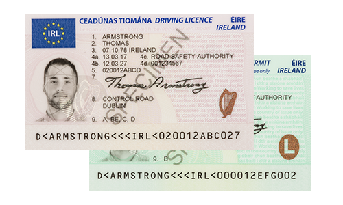Führerschein (IRL) Driving Licence